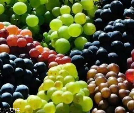 葡萄籽好還是膠原蛋白好？各有千秋