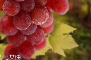 葡萄籽泡水喝有作用嗎？美容保健