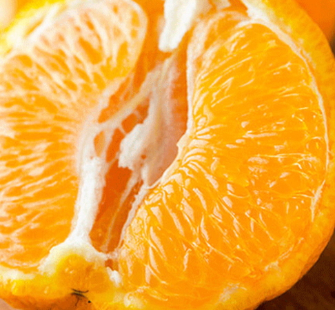 不知火和丑八怪的區(qū)別 不知火是丑八怪嗎 不知火和丑八怪的區(qū)別 不知火是丑八怪嗎