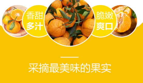 不知火和丑八怪的區(qū)別 不知火是丑八怪嗎 不知火和丑八怪的區(qū)別 不知火是丑八怪嗎