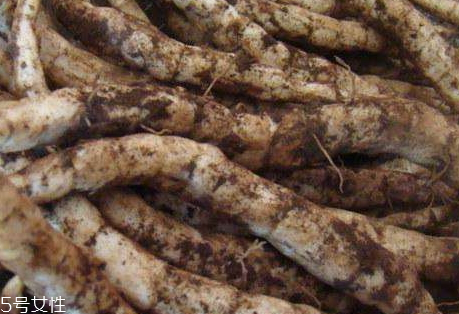 地藕多少錢一斤 地藕什么時(shí)候成熟 地藕多少錢一斤 地藕什么時(shí)候成熟