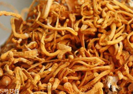 蟲草花什么顏色最好 蟲草花是黃的好還是淡的好 蟲草花什么顏色最好 蟲草花是黃的好還是淡的好