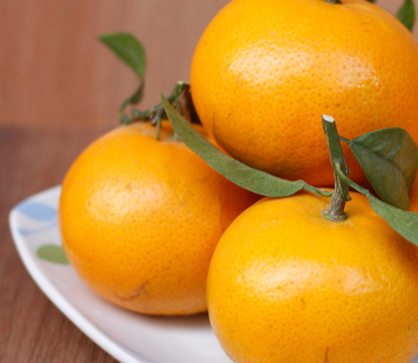 沃柑的功效作用 沃柑的營養(yǎng)價值 沃柑的功效作用 沃柑的營養(yǎng)價值