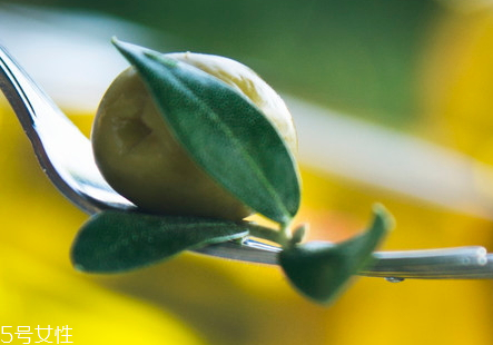 橄欖為什么會(huì)甜 橄欖為什么會(huì)苦 橄欖為什么會(huì)甜 橄欖為什么會(huì)苦