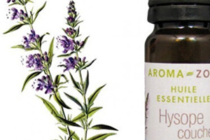 牛膝草精油的功效 牛膝草精油的使用方法 牛膝草精油的功效 牛膝草精油的使用方法