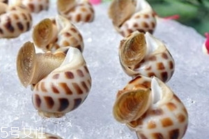 花螺怎么保鮮 花螺可以放冰箱嗎 花螺怎么保鮮 花螺可以放冰箱嗎