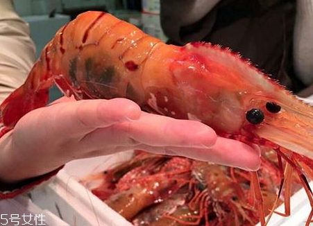 牡丹蝦和甜蝦的區(qū)別 牡丹蝦和紅蝦哪個(gè)好 牡丹蝦和甜蝦的區(qū)別 牡丹蝦和紅蝦哪個(gè)好