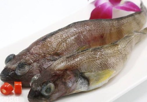 南極魚為什么那么便宜 南極魚的市場價格 南極魚為什么那么便宜 南極魚的市場價格