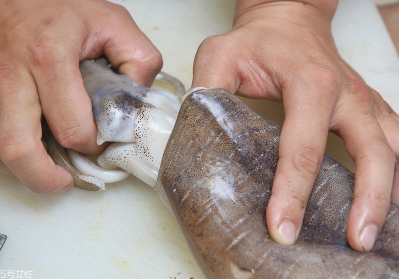 魷魚(yú)怎么做嫩 魷魚(yú)怎么處理不硬 魷魚(yú)怎么做嫩 魷魚(yú)怎么處理不硬