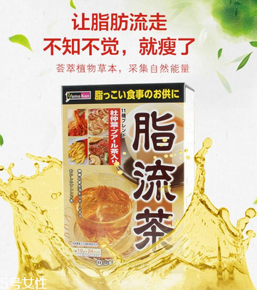 脂流茶作用 脂流茶功效 脂流茶作用 脂流茶功效