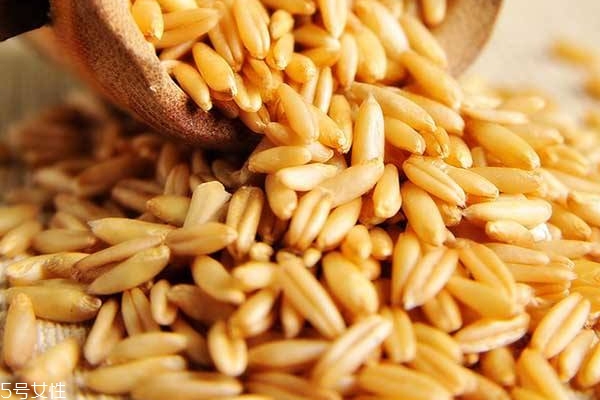 燕麥護(hù)膚品對皮膚好嗎 燕麥護(hù)膚品有哪些 燕麥護(hù)膚品對皮膚好嗎 燕麥護(hù)膚品有哪些