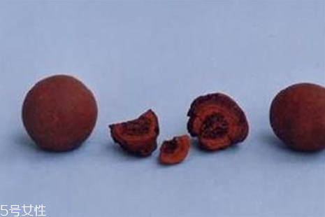 豬砂是什么東西 豬砂怎么保存 豬砂是什么東西 豬砂怎么保存