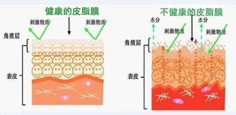 干皮怎么補水 干皮科學(xué)補水三步走 干皮怎么補水 干皮科學(xué)補水三步走