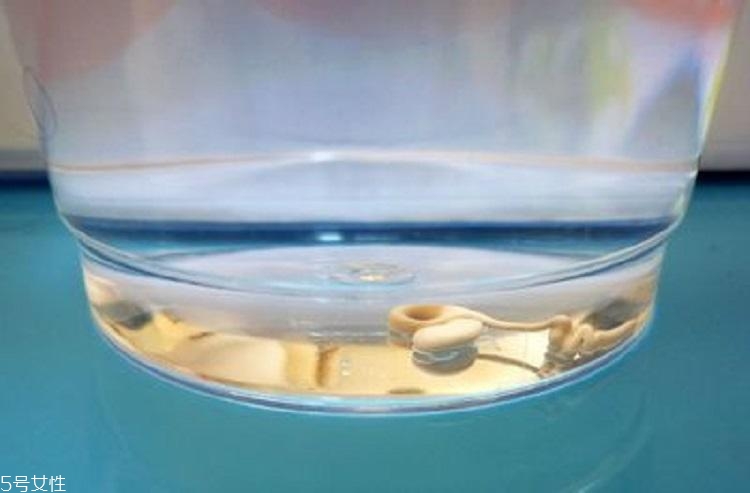 隔離霜怎么檢測重金屬 隔離霜鉛汞鑒別方法 隔離霜怎么檢測重金屬 隔離霜鉛汞鑒別方法