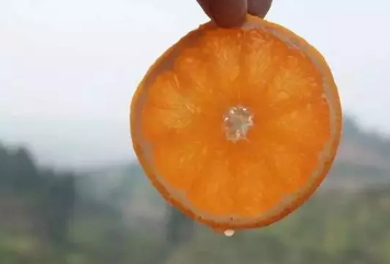 青見柑橘上火嗎？青見柑橘一天吃幾個好