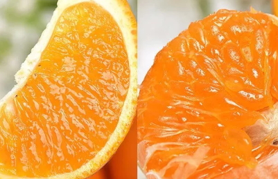 青見柑橘好吃嗎？青見柑橘酸嗎