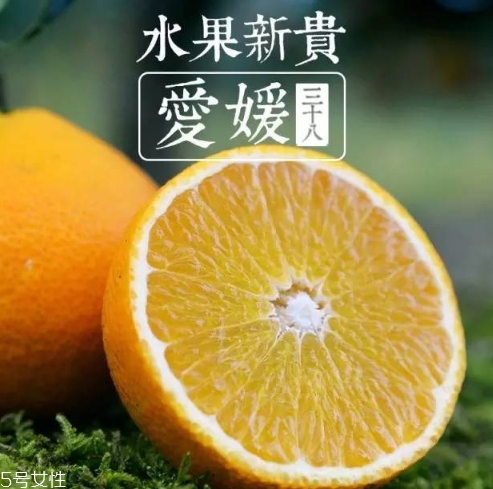 愛媛38號多少錢一斤？愛媛38號柑桔市場行情