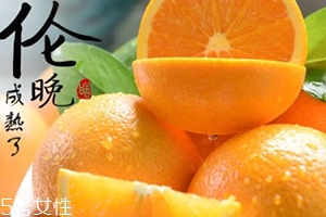 倫晚臍橙口感是酸的還是甜的？倫晚臍橙好吃嗎