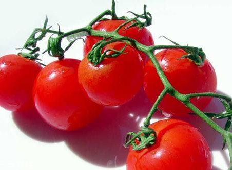 櫻桃蕃茄是轉基因嗎 櫻桃蕃茄為什么不能多吃