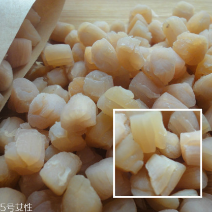 干貝是海鮮嗎？干貝是什么動(dòng)物做的？