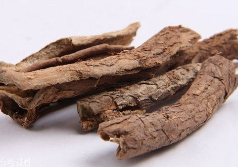 刺五加和五加皮的區(qū)別 如何區(qū)分刺五加和五加皮 刺五加和五加皮的區(qū)別 如何區(qū)分刺五加和五加皮