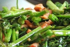 山芹菜怎么吃 山芹菜孕婦可以吃嗎 山芹菜怎么吃 山芹菜孕婦可以吃嗎