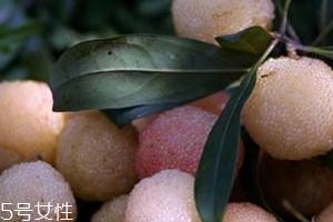 白楊梅好還是紅楊梅好吃？白楊梅和紅楊梅對(duì)比