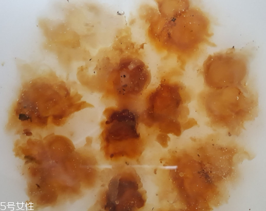 桃膠可以用開水泡嗎？用開水泡桃膠好嗎？