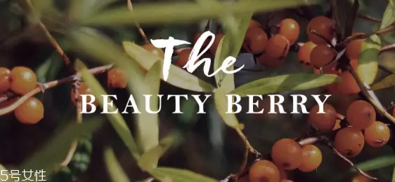 瑞典護膚品哪個牌子好 瑞典護膚品排行榜 瑞典護膚品哪個牌子好 瑞典護膚品排行榜