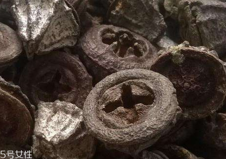 一口盅多少錢一斤 一口盅的藥用價(jià)值 一口盅多少錢一斤 一口盅的藥用價(jià)值