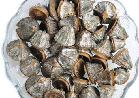 一口盅哪些人不能喝 一口盅的用法用量 一口盅哪些人不能喝 一口盅的用法用量