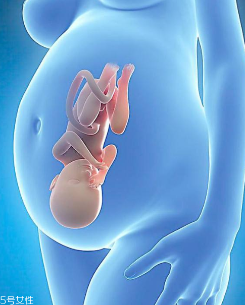 妊娠紋霜怎么抹均勻 妊娠紋霜怎么抹吸收快 妊娠紋霜怎么抹均勻 妊娠紋霜怎么抹吸收快