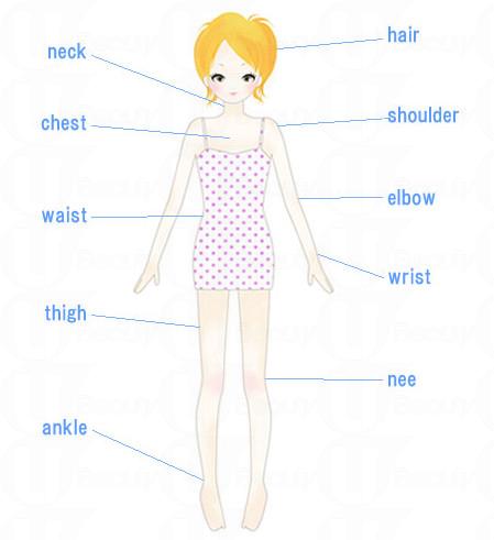 香水噴在哪里最好 香水要噴在哪個(gè)部位 香水噴在哪里最好 香水要噴在哪個(gè)部位
