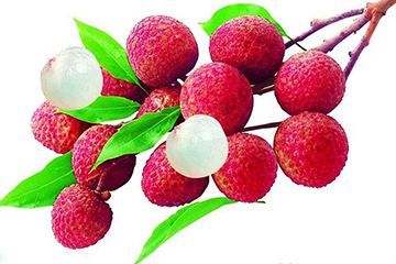 荔枝的品種 荔枝有哪些種類？