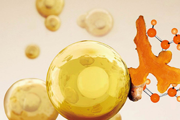 嬌韻詩雙萃精華真假圖 嬌韻詩雙萃精華真假對比 嬌韻詩雙萃精華真假圖 嬌韻詩雙萃精華真假對比