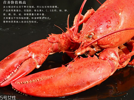 波士頓龍蝦頭里綠色的是什么？