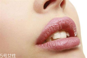 唇部去角質(zhì)哪個牌子好 唇部去角質(zhì)產(chǎn)品推薦 唇部去角質(zhì)哪個牌子好 唇部去角質(zhì)產(chǎn)品推薦