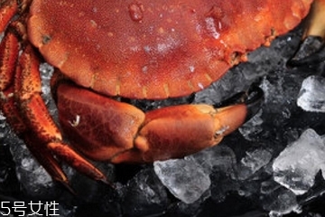 面包蟹是淡水還是海水？面包蟹長在淡水還是海水？