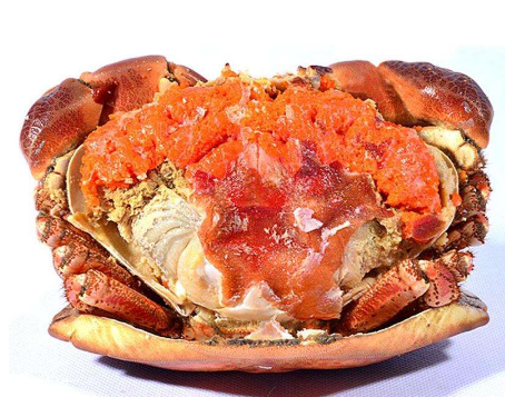 面包蟹是淡水還是海水？面包蟹長在淡水還是海水？