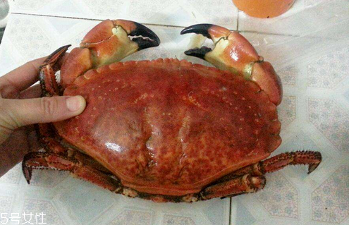 面包蟹是蒸還是煮？面包蟹蒸好吃還是煮好吃？