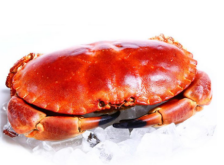 面包蟹是蒸還是煮？面包蟹蒸好吃還是煮好吃？