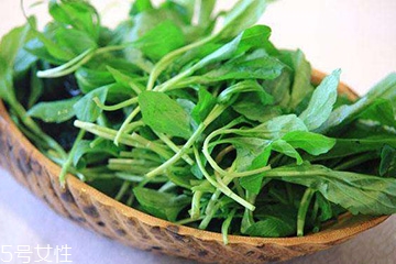 馬蘭頭的營養(yǎng)價(jià)值 馬蘭頭有什么營養(yǎng)？