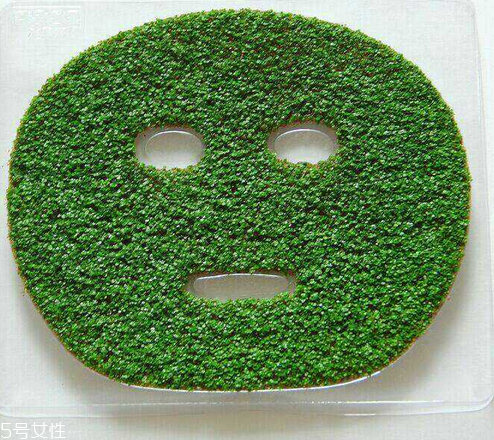 海藻面膜是什么種子？海藻面膜到底是什么？