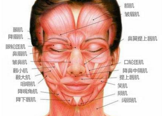 打完瘦臉針皮膚松弛怎么辦 瘦臉針面部凹陷怎么辦 打完瘦臉針皮膚松弛怎么辦 瘦臉針面部凹陷怎么辦