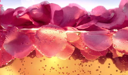 玫瑰水怎么做？自制玫瑰水