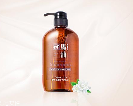 馬油洗發(fā)水是哪里產(chǎn)的？馬油洗發(fā)水是哪國的？