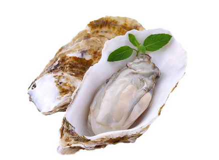 生蠔放冷藏可以放多久？生蠔放冷藏的保存時間