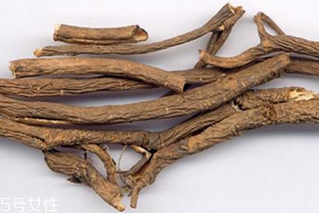 刺五加的選購技法 怎么挑選刺五加？