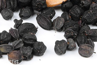 刺五加的適宜人群 刺五加適合哪些人？