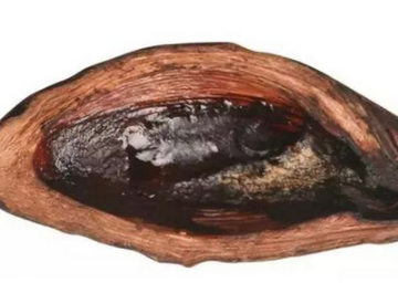 一個(gè)檳榔等于幾根煙？一個(gè)檳榔嚼多久